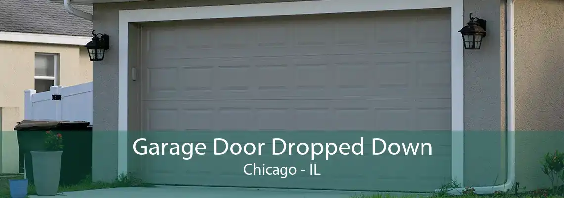 Garage Door Dropped Down Chicago - IL