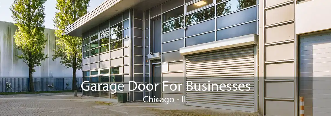 Garage Door For Businesses Chicago - IL