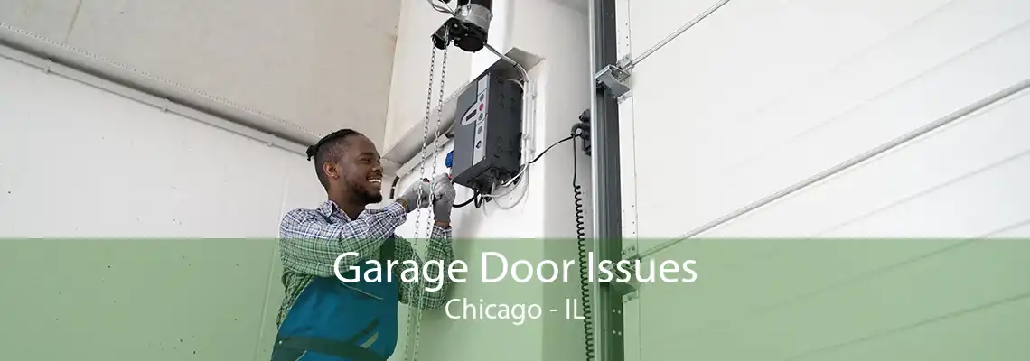 Garage Door Issues Chicago - IL