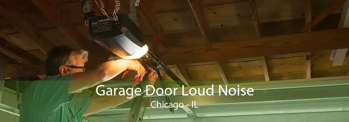 Garage Door Loud Noise Chicago - IL