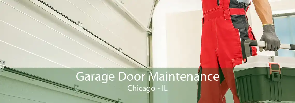 Garage Door Maintenance Chicago - IL