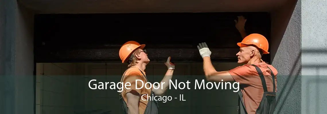 Garage Door Not Moving Chicago - IL