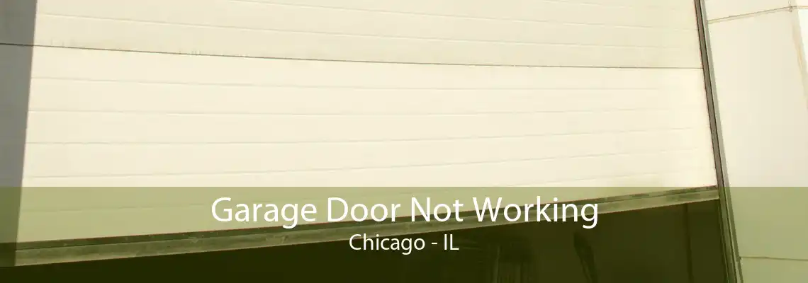 Garage Door Not Working Chicago - IL