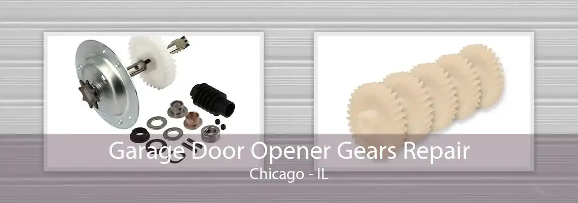 Garage Door Opener Gears Repair Chicago - IL