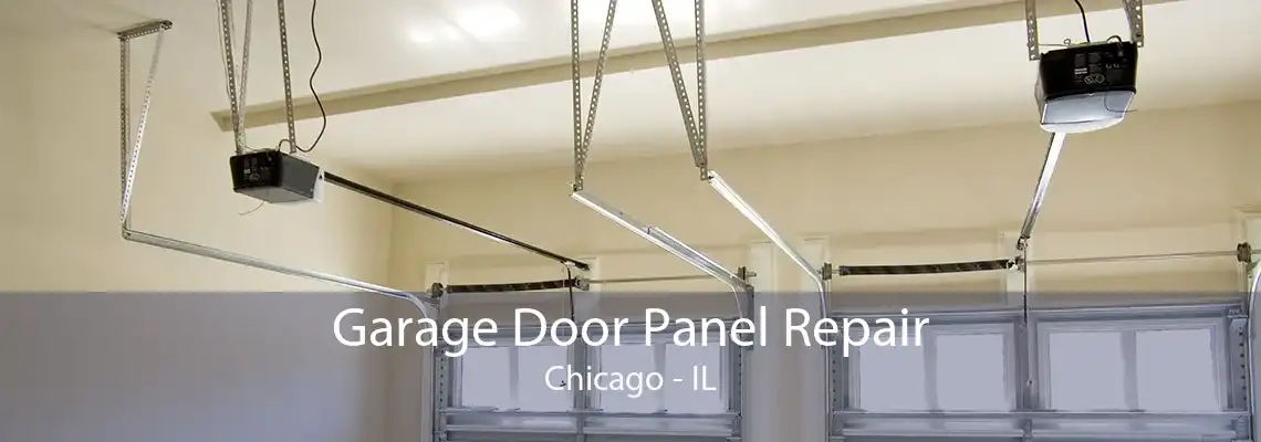 Garage Door Panel Repair Chicago - IL