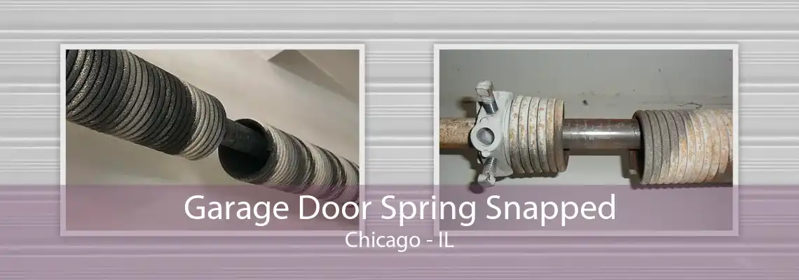 Garage Door Spring Snapped Chicago - IL