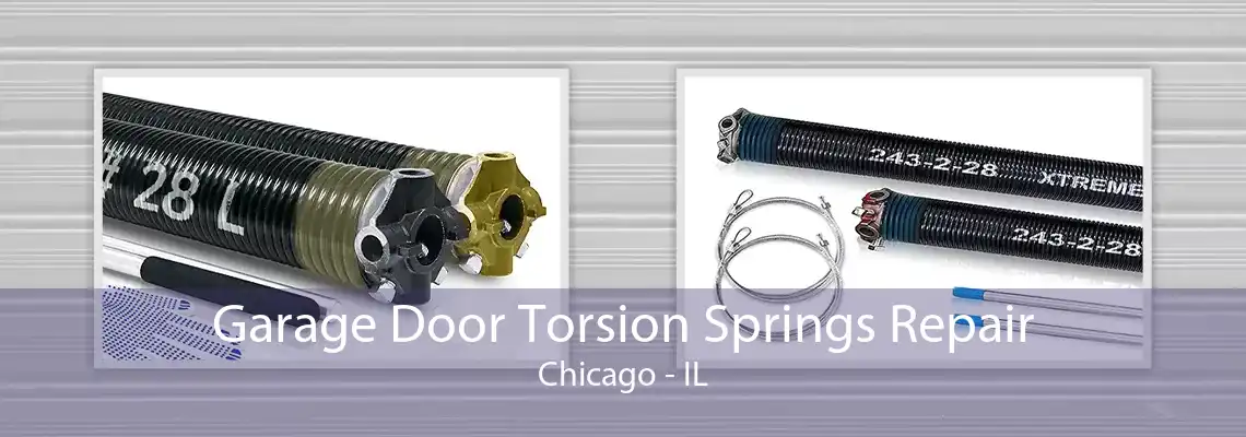 Garage Door Torsion Springs Repair Chicago - IL