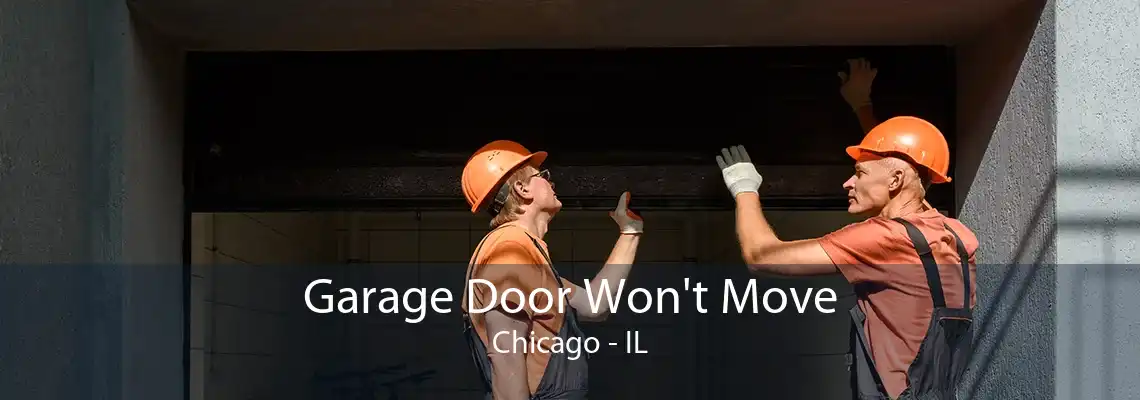 Garage Door Won't Move Chicago - IL