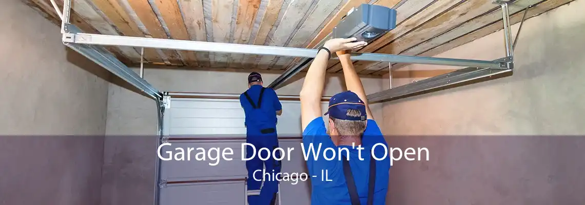 Garage Door Won't Open Chicago - IL