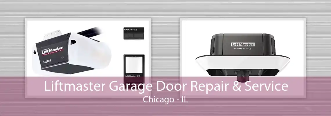 Liftmaster Garage Door Repair & Service Chicago - IL